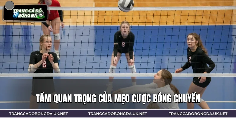Tầm quan trọng của mẹo cược bóng chuyền